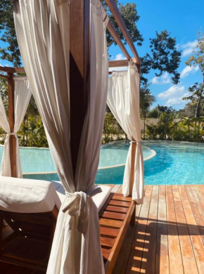 Luxurious Jungle Studio